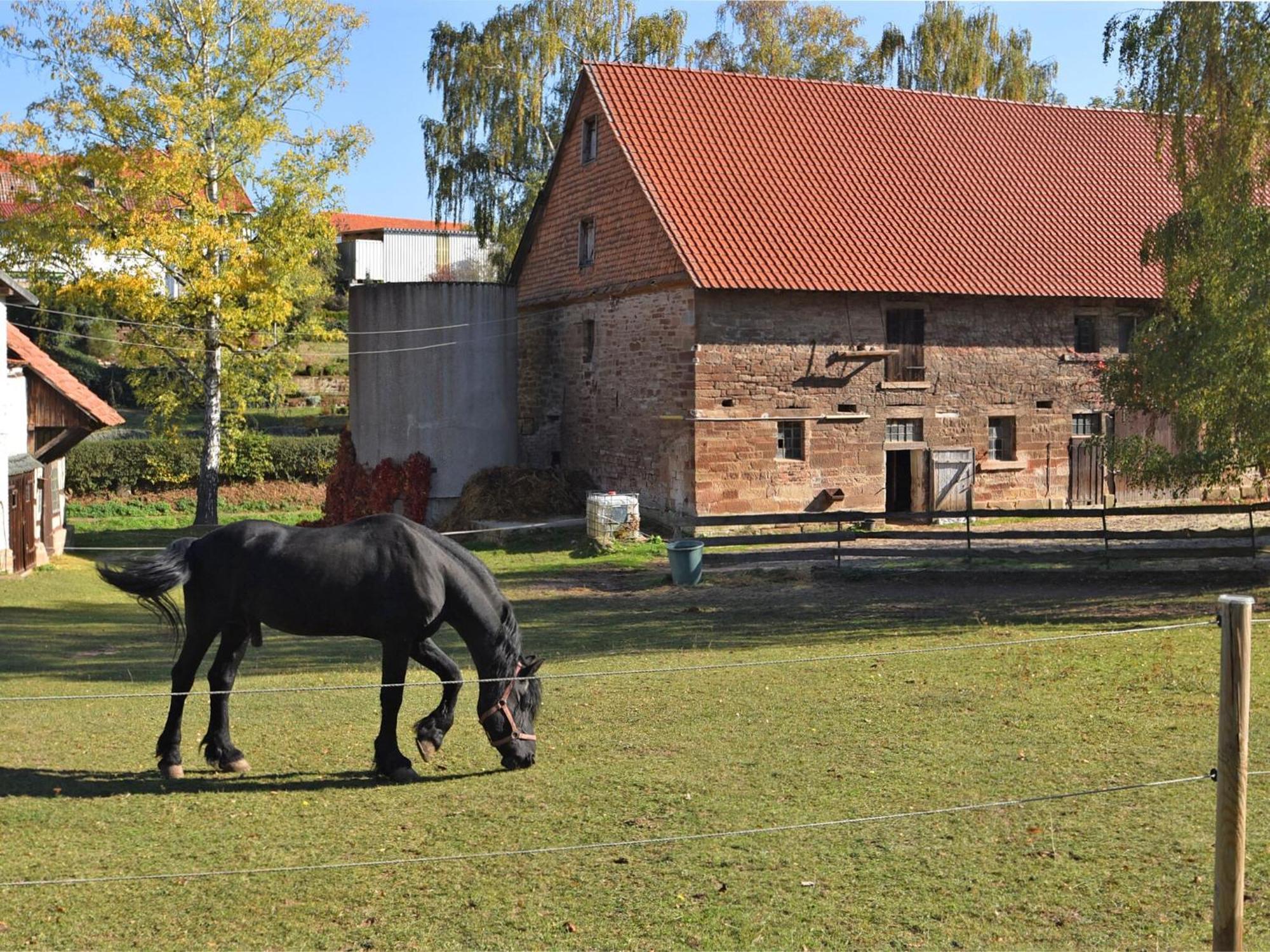 Spacious Holiday Home In Hesse With Garden Waldeck  Eksteriør billede